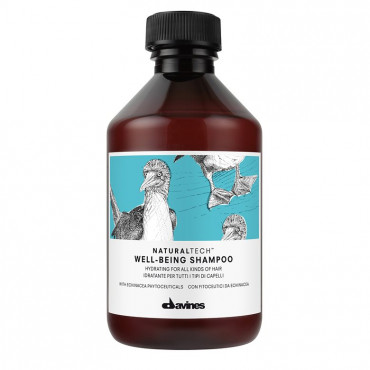 Davines Naturaltech Well-Being Shampoo 達芬莉斯美麗人生洗髮露250ml