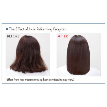 Shiseido Professional Sublimic Salon Solutions IN-FILL DAMAGED HAIR 終極髮廊修護系統 注入 受損髮絲 15ML