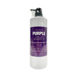 FIOLE QUALUCIA PURPLE COLOR SHAMPOO 紫色去黃洗髮水 1000ML